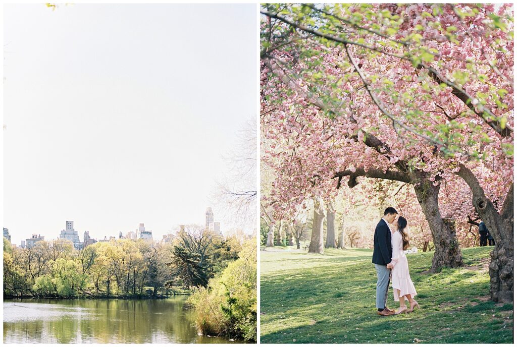 Central Park Engagement Session
NYC Wedding Photographer
Central Park Cherry Blossoms